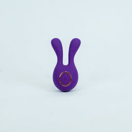 MINI NOVA RABBIT