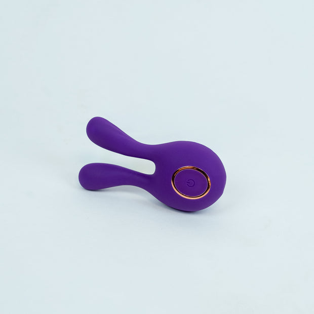 MINI NOVA RABBIT
