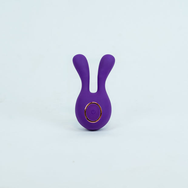 MINI NOVA RABBIT
